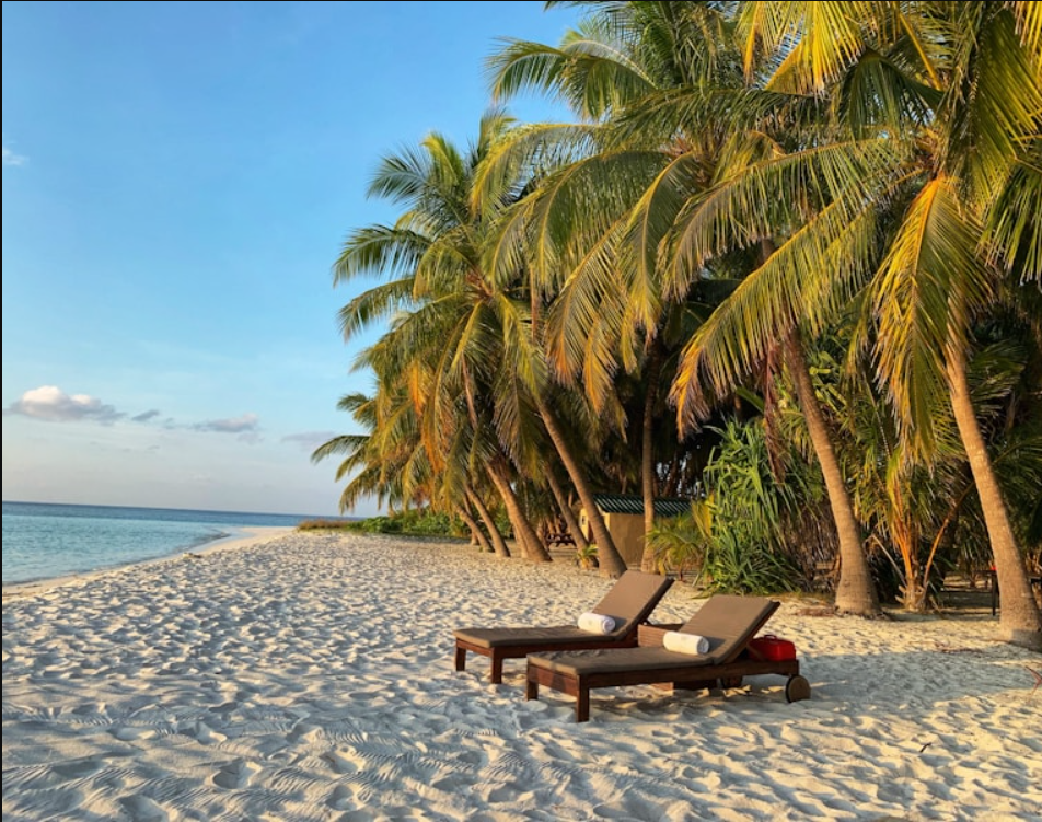 가족 해변 활동